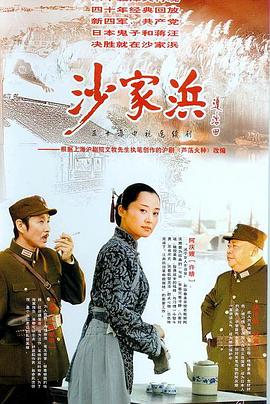 沙家浜2006第11集