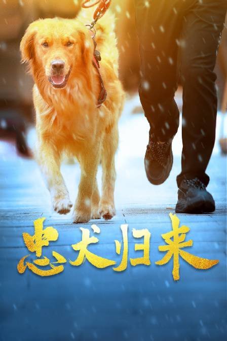 忠犬歸來