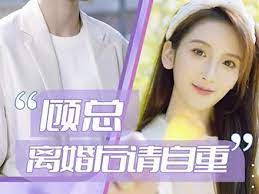 顧總離婚后請自重第05集